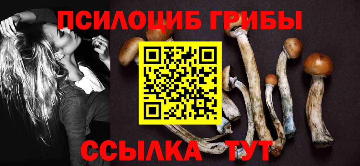 Нижний Тагил  Галлюциногенные грибы мухоморы  купить  сайты  Псилоцибиновые грибы мицелий  Вход с VPN 