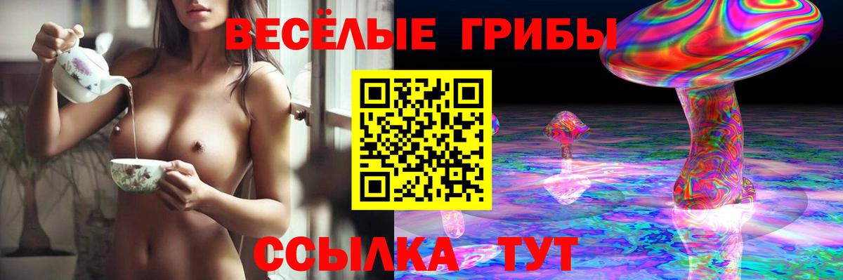Галлюциногенные грибы Cubensis Нижний Тагил